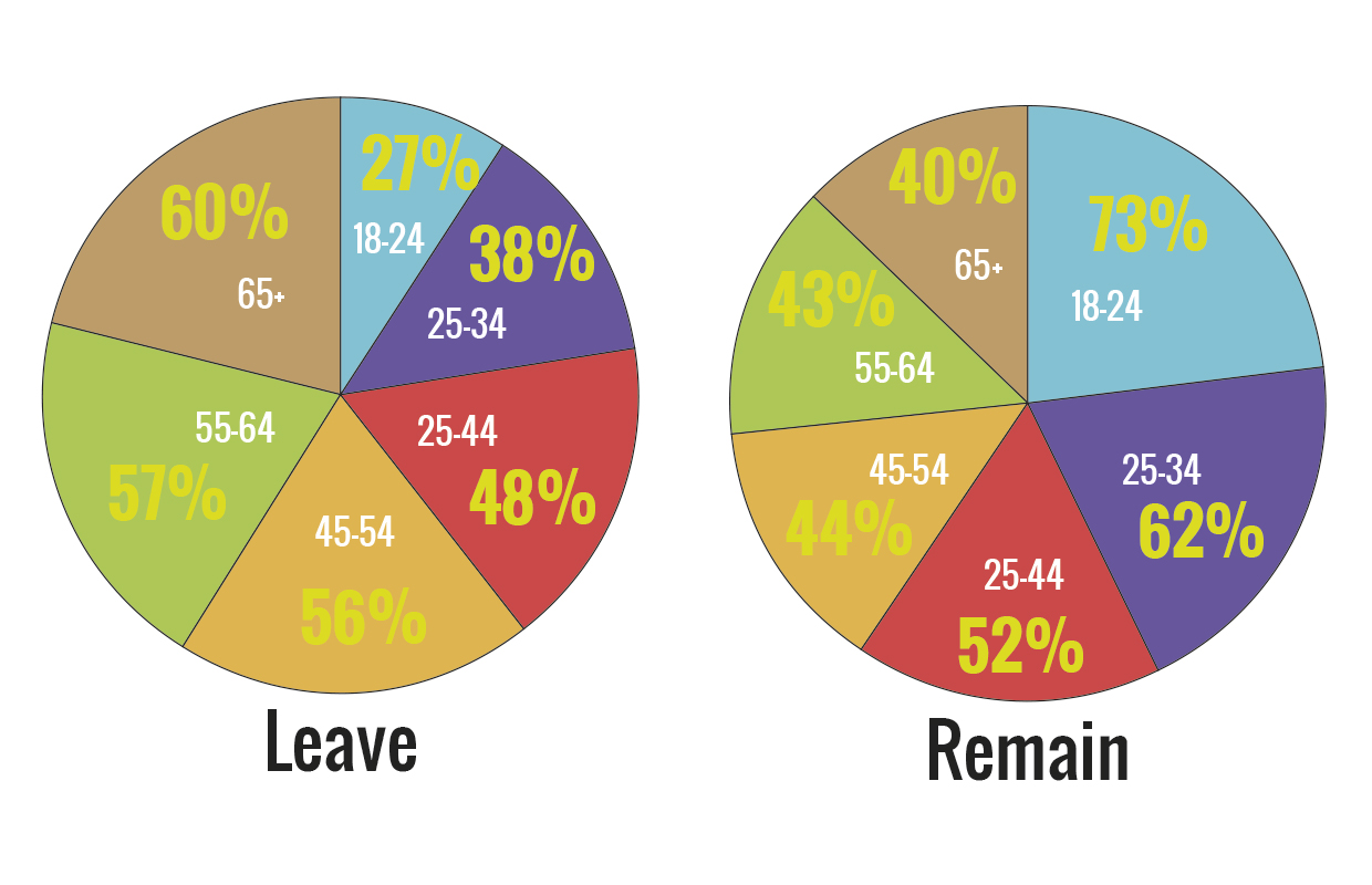 SN_brexit_votes_home