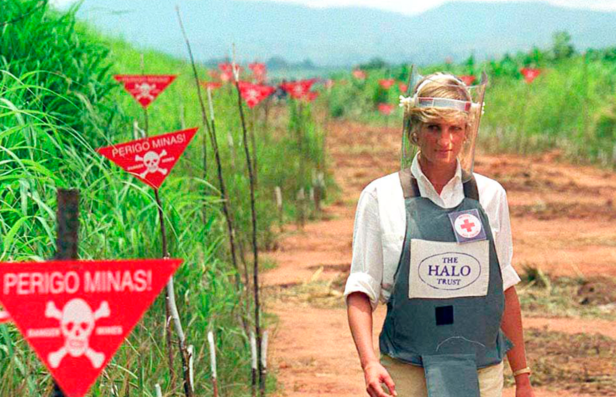 In the final year before her death, Diana became an ambassador for a Red Cross campaign helping victims of landmines and supporting campaigns to remove mines.