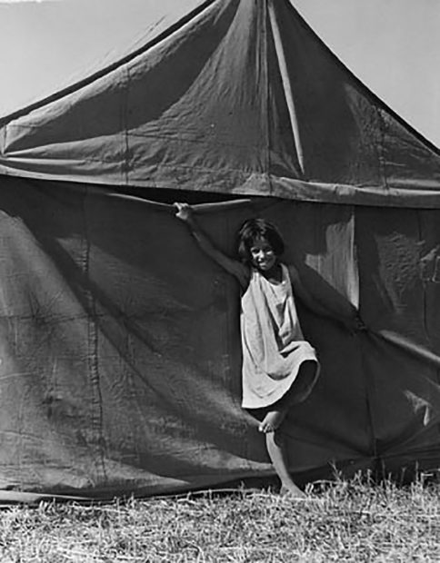 Pea camp near Stockton, 1936.