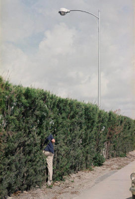 A man who appears to be disappearing into a bush.