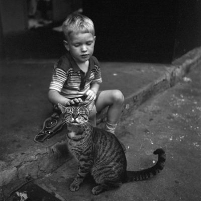 a small boy stroking a stripy cat while sitting in the street