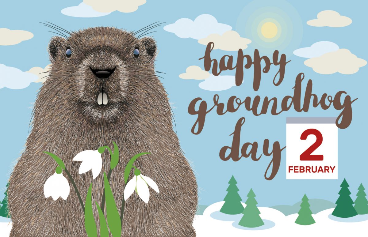 Groundhog Day 2025 Massachusetts - Essa Milicent