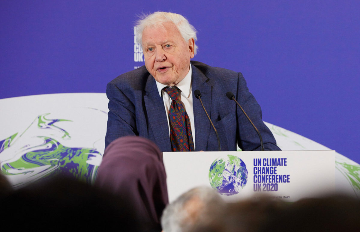 Sir David Attenborough making a speech in front of a the logo for COP26.