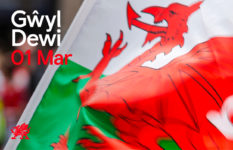 A Welsh dragon flag with the slogan Gwyl Dewi (St David's Day) 01 March.