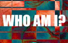 A graphic image with the words Who Am I?
