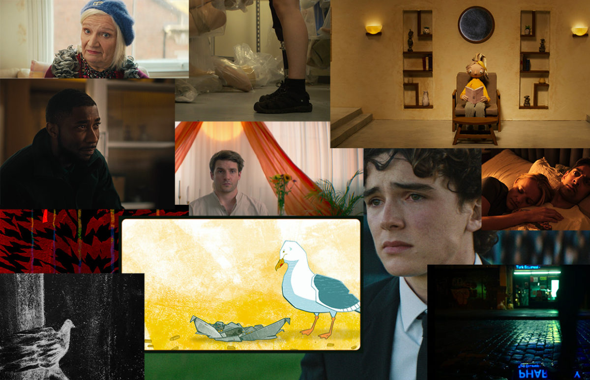 A collage of images of the films in the selection (see separate images on the page for descriptions).