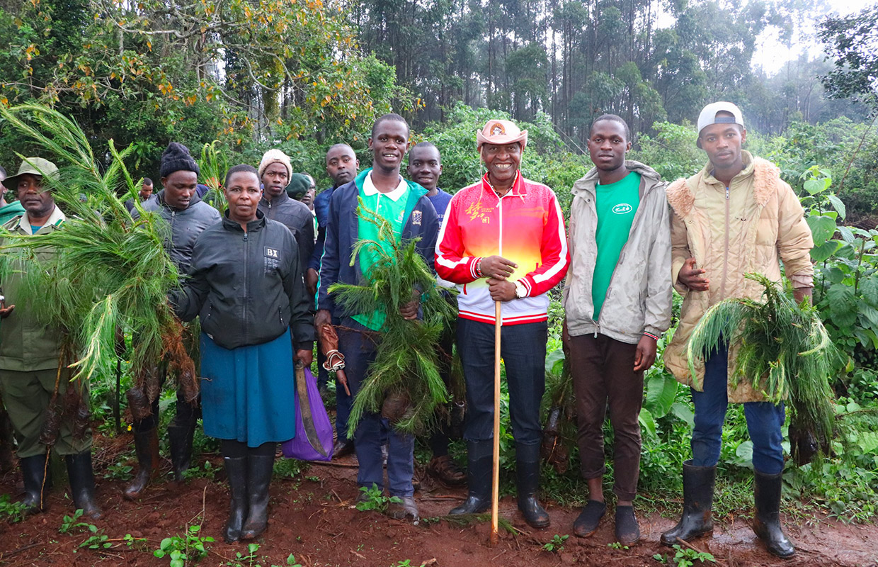 100 Million Trees – Speakeasy News