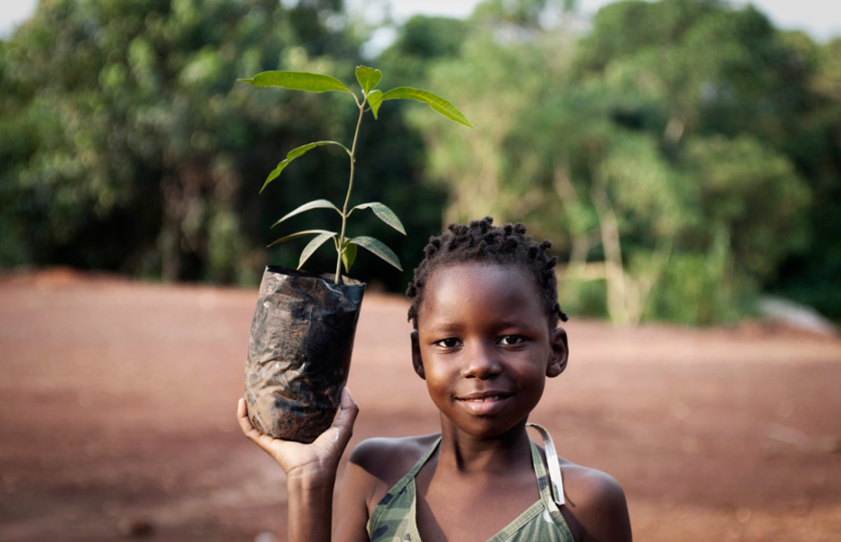A child holding a tree seedling ready to be planted.
