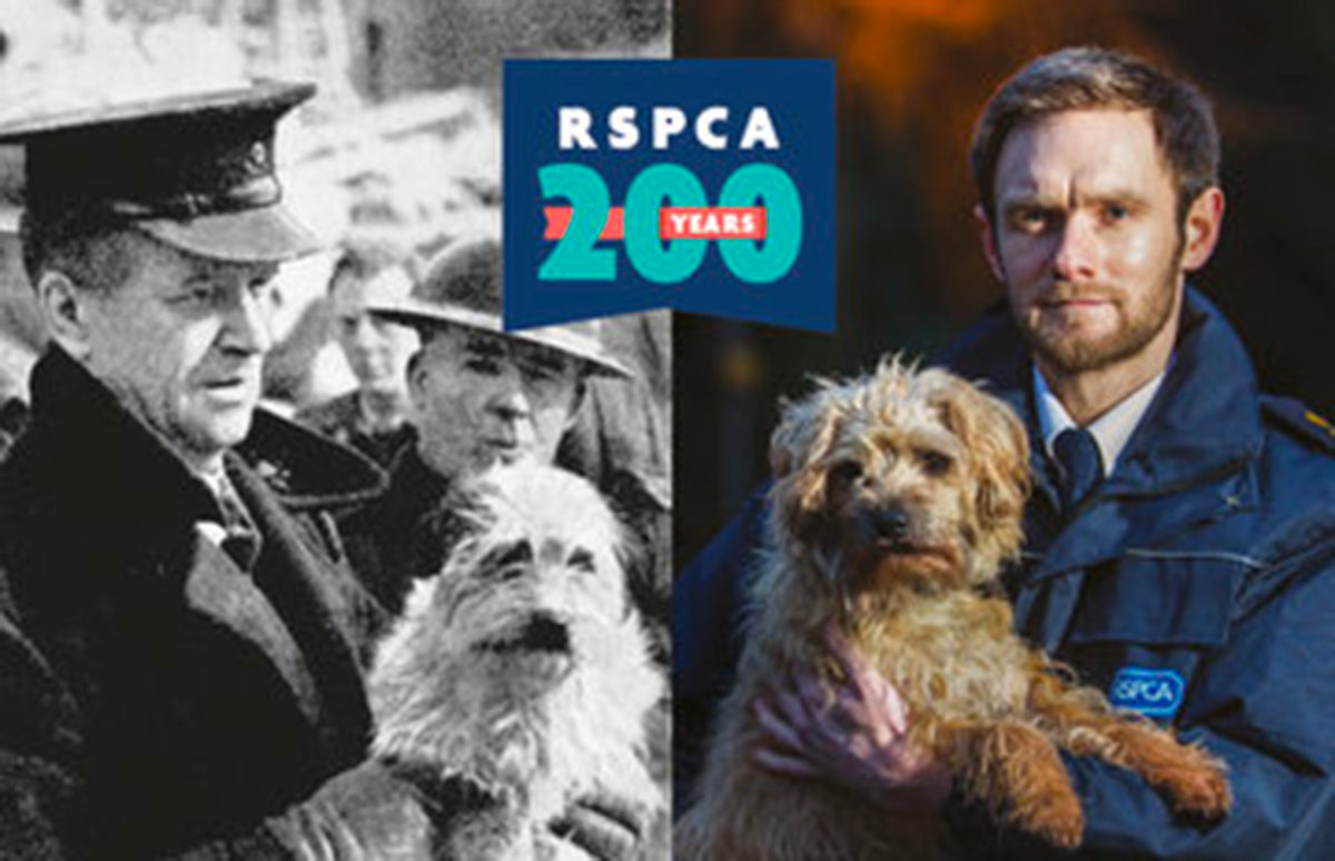 RSPCA inspectors rescuing a dog during WWII and an inspector holding a dog today, with the RSPCA 200 logo.