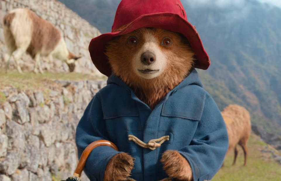 Paddington in his red hat and blue duffel coat in a mountain scene.