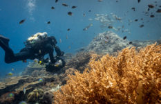 Director of photography Doug Anderson in scuba gear filming the coral reefs of Raja Ampat, Indonesia.