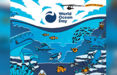 The poster of World Ocean Day, with a hangglider anvoe the surface of the sea and various fish below.