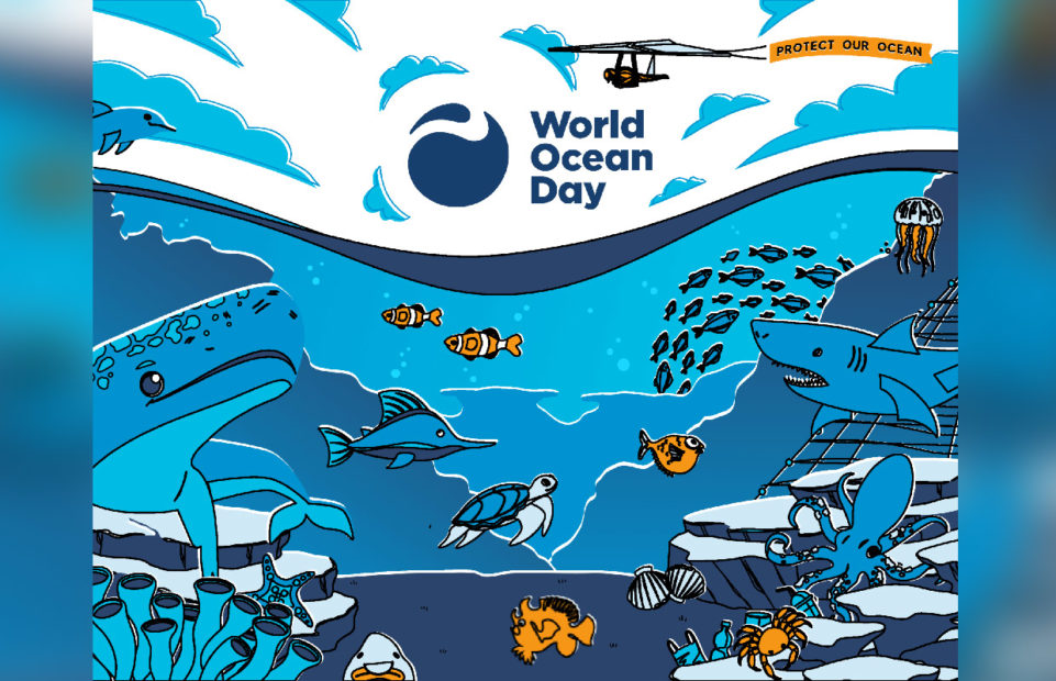 The poster of World Ocean Day, with a hangglider anvoe the surface of the sea and various fish below.