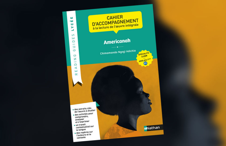 The cover of the reading Guide about Americanah by Chimamanda Ngozi Adichie