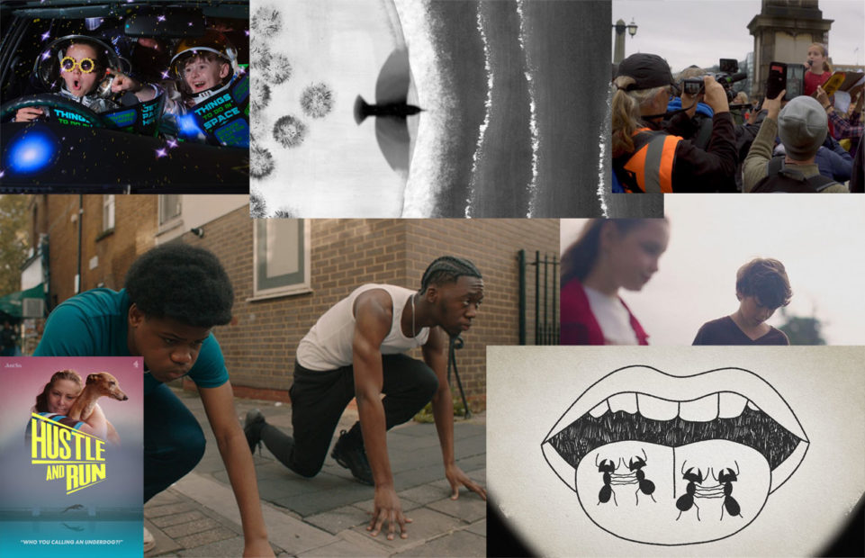 Images from the different short films selected for cycle 4 classes.